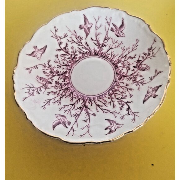 Vintage Coalport England Bird Teacup &Saucer Set 1950's - Picture 4 of 9